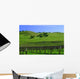 Vignes Californiennes Wall Decal
