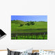 Vignes Californiennes Wall Decal