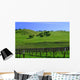 Vignes Californiennes Wall Decal