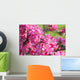 kirschblüten Wall Mural