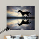 galloping horse Wall Mural
