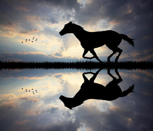 galloping horse Wall Mural