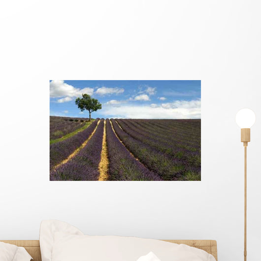 Provence Wall Decal Design 3