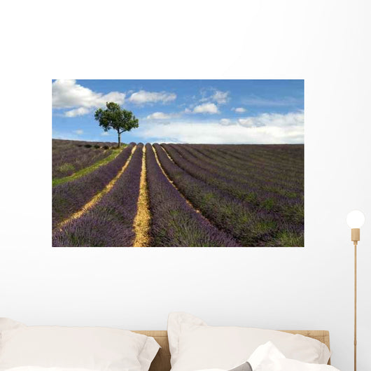 Provence Wall Decal Design 3