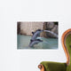 Dolphins Wall Mural