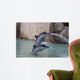 Dolphins Wall Mural