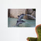 Dolphins Wall Mural