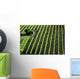 Italian Vineyards Wall Decal