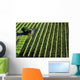 Italian Vineyards Wall Decal