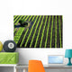 Italian Vineyards Wall Decal