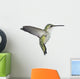 Flying Ruby-throated Hummingbird on white Wall Decal