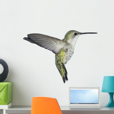 Flying Ruby-throated Hummingbird Wall Decal shown on a wall