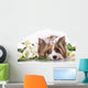 Biewer Terrier York and White Tulips Wall Decal