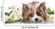 Biewer Terrier York and White Tulips Wall Decal