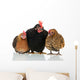Old Biddies Chickens Wall Decal