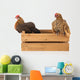Chickens on Wooden Crate Wall Decal