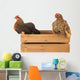 Chickens on Wooden Crate Wall Decal