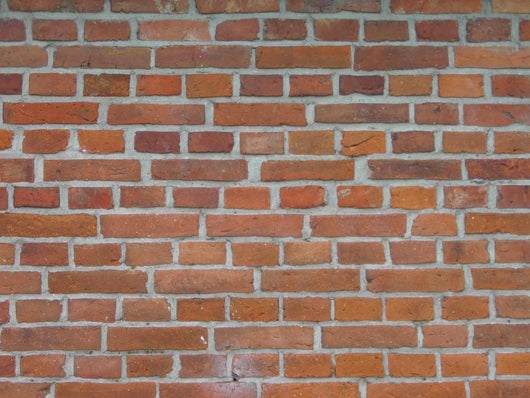 Backsteinwand Wall Mural