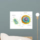 Cross Section Diagram of Prokaryotic Wall Mural