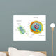 Cross Section Diagram of Prokaryotic Wall Mural