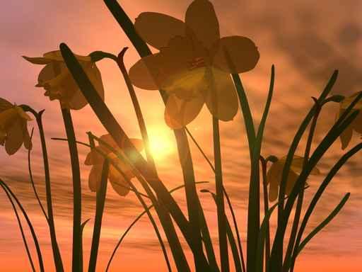Sunset Wall Decal Design 2