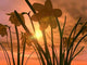 Sunset Wall Decal Design 2
