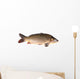 Carp Fish Wall Decal