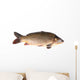 Carp Fish Wall Decal