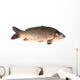 Carp Fish Wall Decal