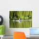 Rowing Wall Mural