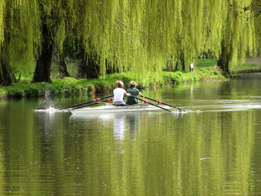 Rowing Wall Mural