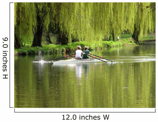 Rowing Wall Mural