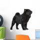 Chow Chow Puppy Standing 