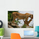 Lioness an Lion Cub Wall Mural