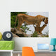 Lioness an Lion Cub Wall Mural