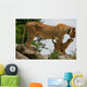 Lioness an Lion Cub Wall Mural