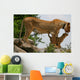 Lioness an Lion Cub Wall Mural