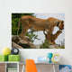 Lioness an Lion Cub Wall Mural