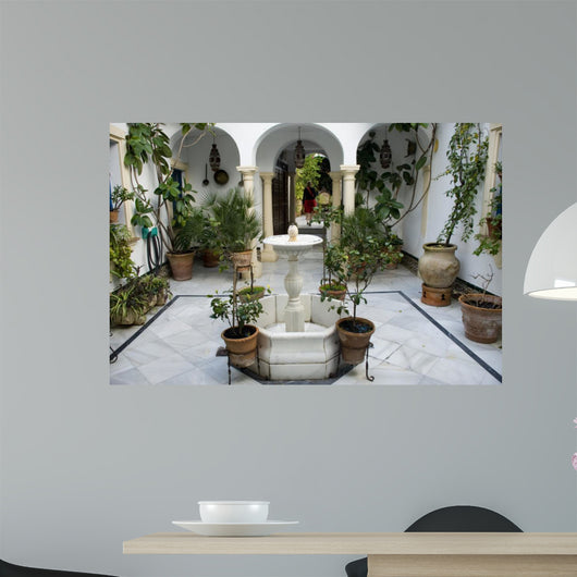 Andalusian patio 