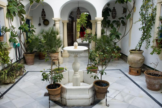 Andalusian patio 