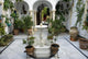 Andalusian patio 