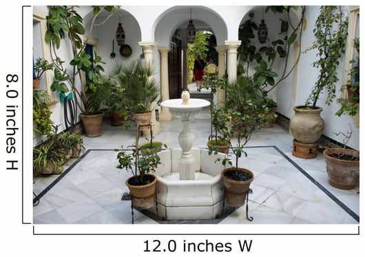 Andalusian patio 
