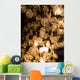 Lighting decor bulbs hanging 