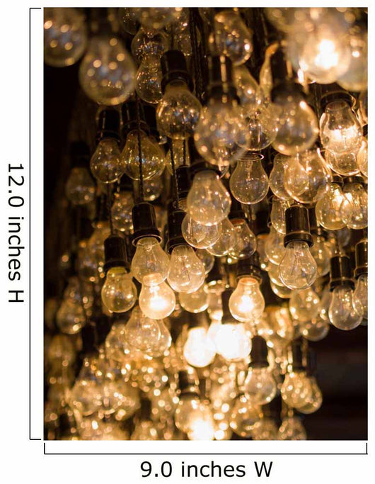 Lighting decor bulbs hanging 