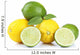 Lemons and limes, isolated on white Wall Decal