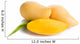 mango fruit Wall Decal