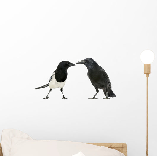Common Magpie and Carrion Crow Facing Each Other Wall Decal