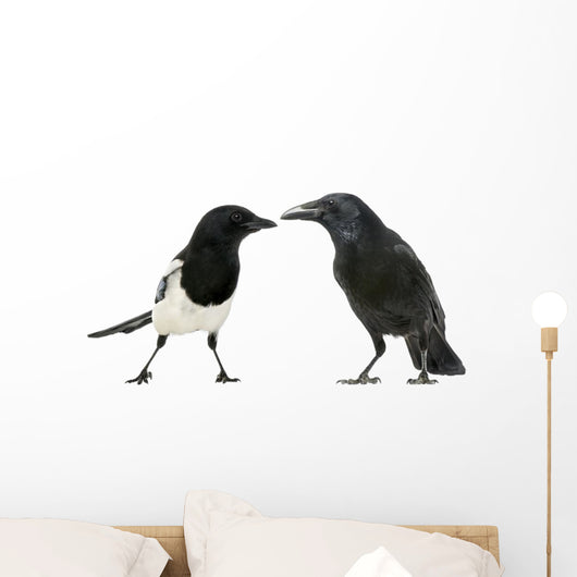 Common Magpie and Carrion Crow Facing Each Other Wall Decal