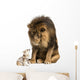 Lion sitting and looking at a chihuahua dressed 