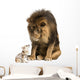 Lion sitting and looking at a chihuahua dressed 
